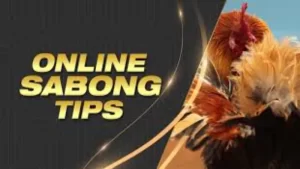 E-Sabong Tips: Strategies for Betting Success