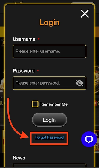 Step 1: In the account login form, members click on the words "Forgot Password"