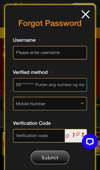 Step 2: Fill in the username and phone number you used to register your account, then enter the verification code.